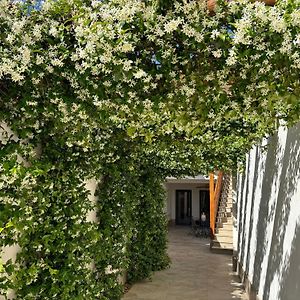 El Patio de los Jazmines